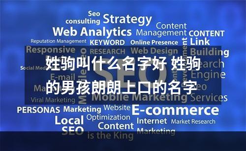 姓驹叫什么名字好 姓驹的男孩朗朗上口的名字