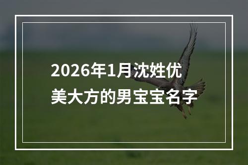 2026年1月沈姓优美大方的男宝宝名字