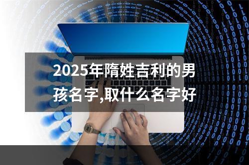 2025年隋姓吉利的男孩名字,取什么名字好