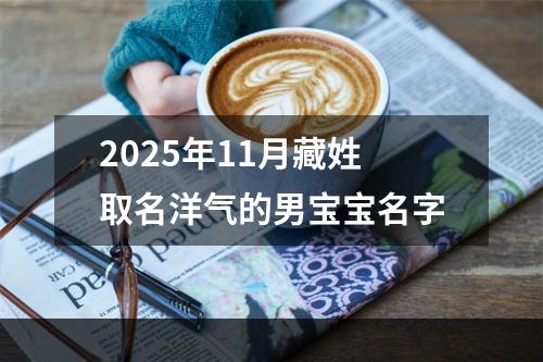 2025年11月藏姓取名洋气的男宝宝名字