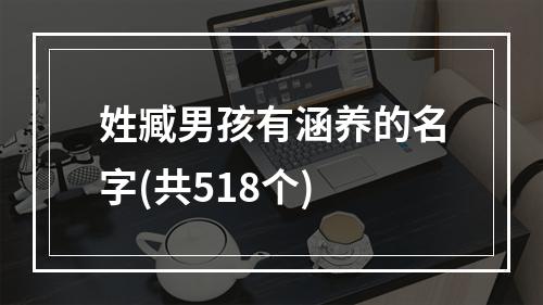 姓臧男孩有涵养的名字(共518个)