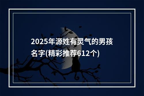2025年源姓有灵气的男孩名字(精彩推荐612个)