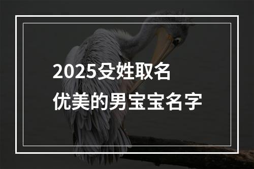 2025殳姓取名优美的男宝宝名字