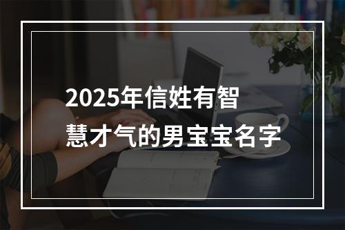 2025年信姓有智慧才气的男宝宝名字