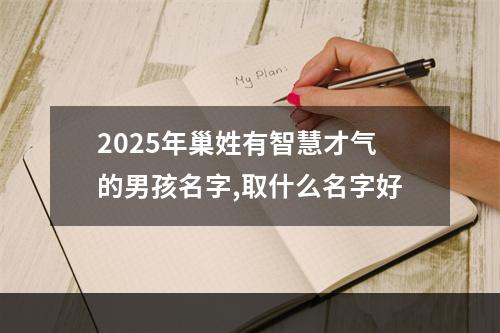2025年巢姓有智慧才气的男孩名字,取什么名字好