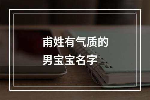 甫姓有气质的男宝宝名字