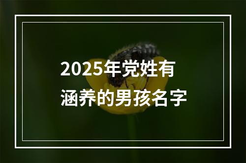 2025年党姓有涵养的男孩名字