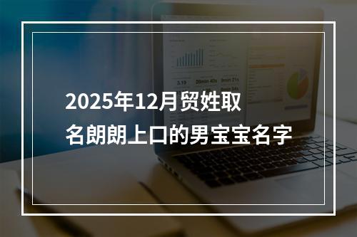 2025年12月贸姓取名朗朗上口的男宝宝名字