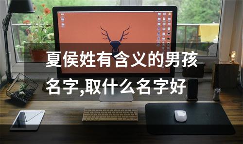 夏侯姓有含义的男孩名字,取什么名字好