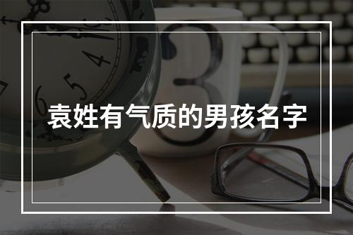 袁姓有气质的男孩名字