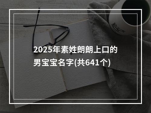 2025年素姓朗朗上口的男宝宝名字(共641个)