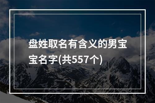 盘姓取名有含义的男宝宝名字(共557个)