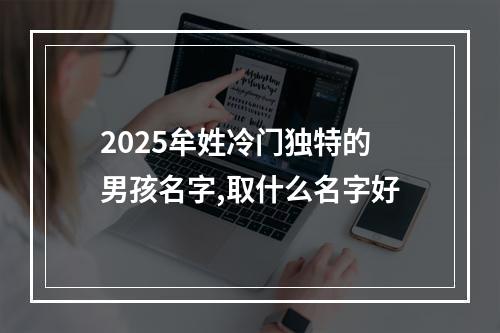 2025牟姓冷门独特的男孩名字,取什么名字好