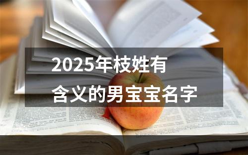 2025年枝姓有含义的男宝宝名字
