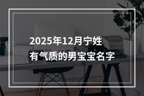 2025年12月宁姓有气质的男宝宝名字