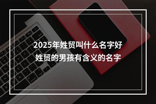 2025年姓贸叫什么名字好 姓贸的男孩有含义的名字