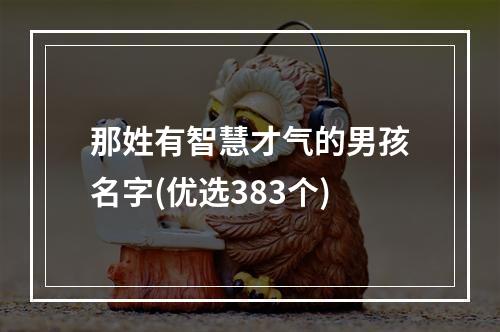 那姓有智慧才气的男孩名字(优选383个)