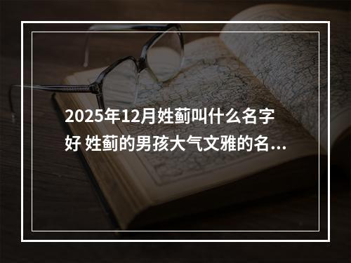 2025年12月姓蓟叫什么名字好 姓蓟的男孩大气文雅的名字
