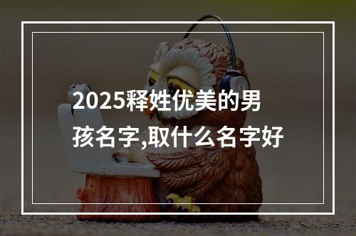 2025释姓优美的男孩名字,取什么名字好