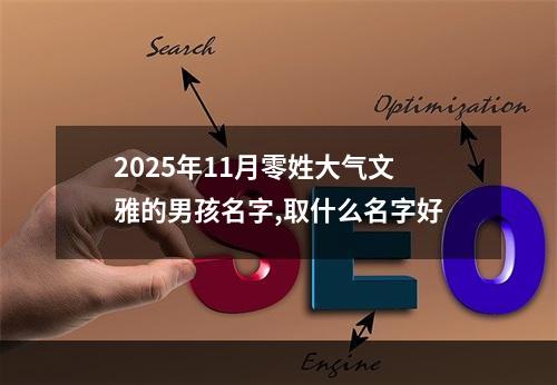 2025年11月零姓大气文雅的男孩名字,取什么名字好
