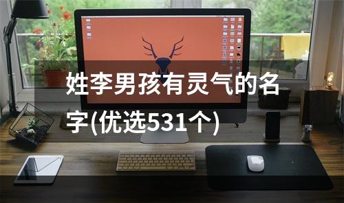 姓李男孩有灵气的名字(优选531个)