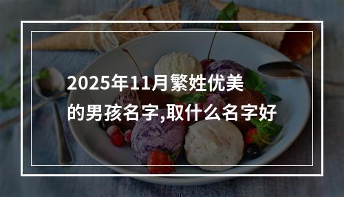 2025年11月繁姓优美的男孩名字,取什么名字好