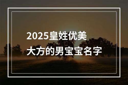 2025皇姓优美大方的男宝宝名字