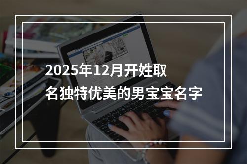 2025年12月开姓取名独特优美的男宝宝名字