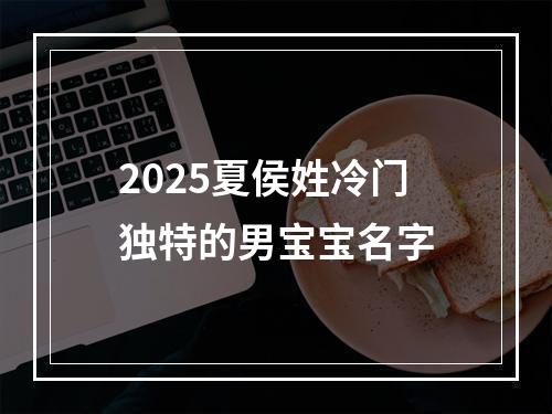 2025夏侯姓冷门独特的男宝宝名字