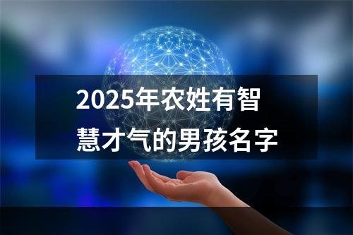 2025年农姓有智慧才气的男孩名字