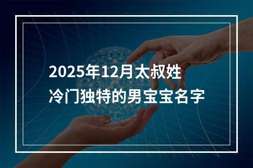 2025年12月太叔姓冷门独特的男宝宝名字