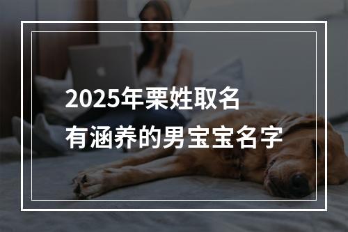 2025年栗姓取名有涵养的男宝宝名字