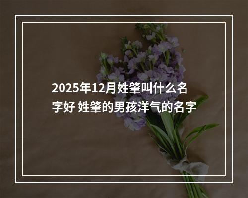 2025年12月姓肇叫什么名字好 姓肇的男孩洋气的名字
