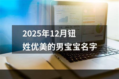 2025年12月钮姓优美的男宝宝名字