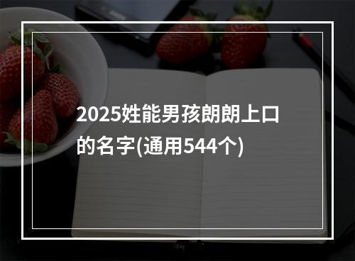 2025姓能男孩朗朗上口的名字(通用544个)