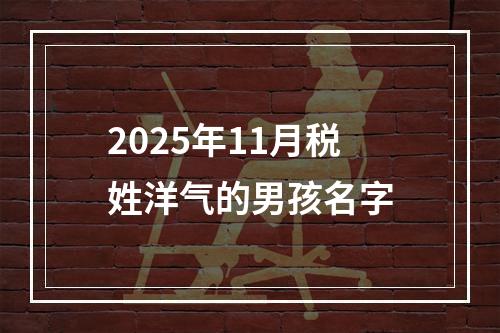 2025年11月税姓洋气的男孩名字