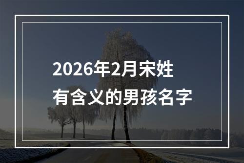 2026年2月宋姓有含义的男孩名字