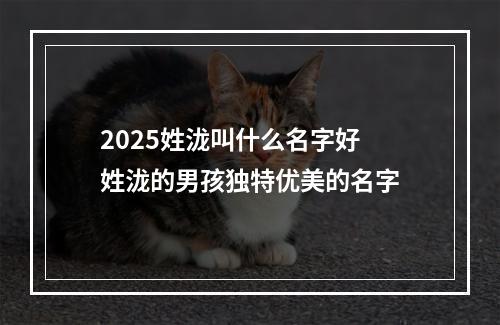 2025姓泷叫什么名字好 姓泷的男孩独特优美的名字