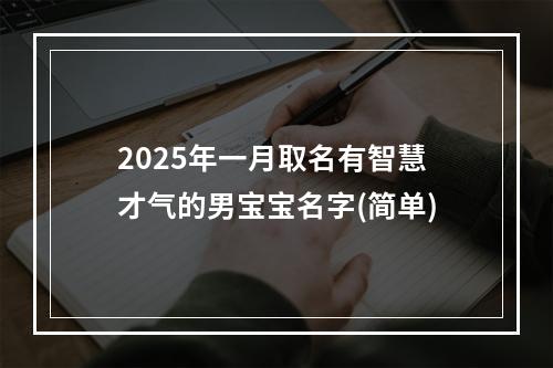 2025年一月取名有智慧才气的男宝宝名字(简单)