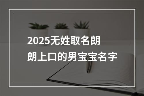 2025无姓取名朗朗上口的男宝宝名字