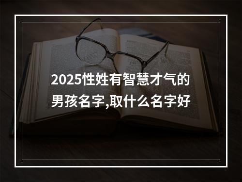 2025性姓有智慧才气的男孩名字,取什么名字好