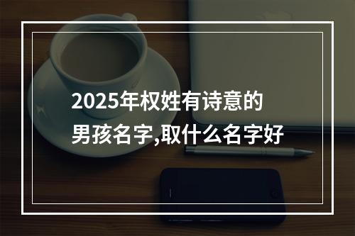 2025年权姓有诗意的男孩名字,取什么名字好