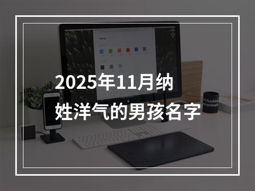 2025年11月纳姓洋气的男孩名字
