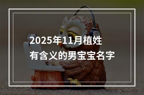 2025年11月植姓有含义的男宝宝名字