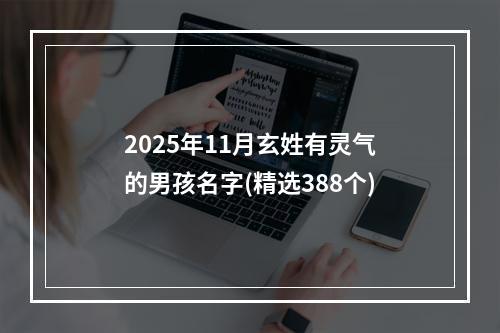 2025年11月玄姓有灵气的男孩名字(精选388个)