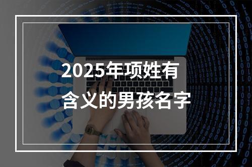 2025年项姓有含义的男孩名字