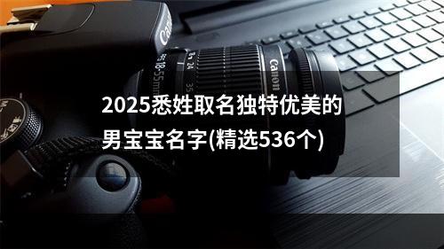 2025悉姓取名独特优美的男宝宝名字(精选536个)
