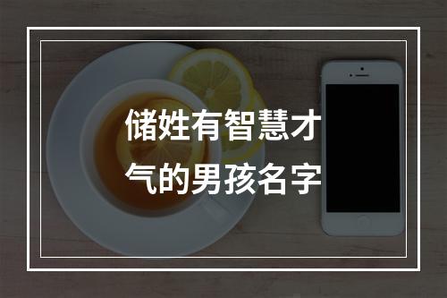 储姓有智慧才气的男孩名字