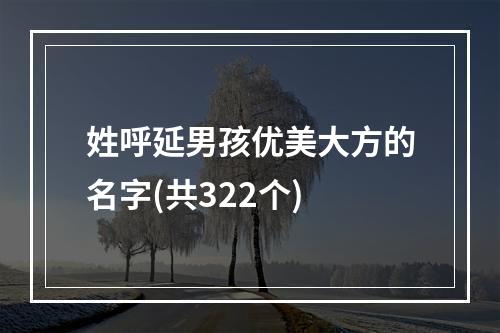 姓呼延男孩优美大方的名字(共322个)