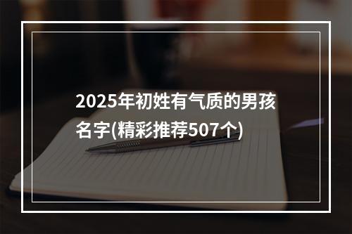 2025年初姓有气质的男孩名字(精彩推荐507个)